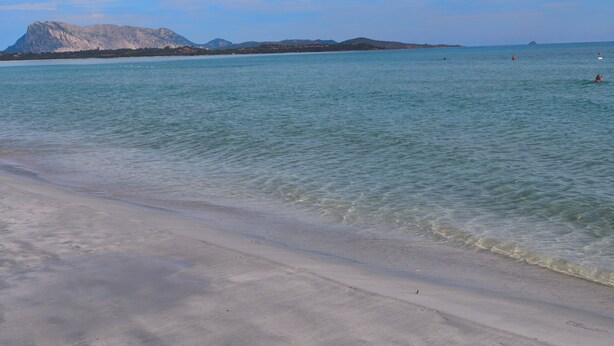 Ein Strand mit klarem Wasser, sandigem Ufer und Bergen in der Ferne.