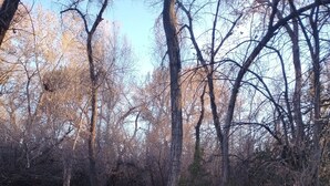 Unclassified image, 3 of 6, button - Phenomenal 1-bedroom campground next to the river in pleasant Santa Cruz. (Santa Cruz)