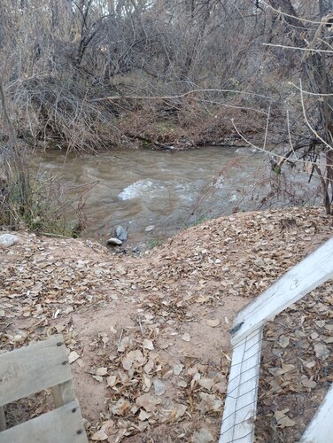 Phenomenal 1-bedroom campground next to the river in pleasant Santa Cruz.