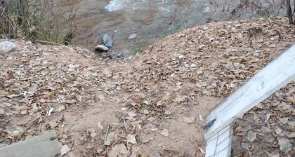 Phenomenal 1-bedroom campground next to the river in pleasant Santa Cruz.