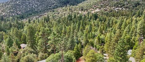 A mountainous area with dense forests and several cabins.