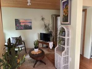 A cozy living room with a TV, a chair, a coffee table with plants, and a bookshelf.