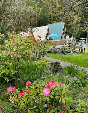 Property grounds - Ocean View Cabins at The Laughing Oyster Restaurant (Powell River)
