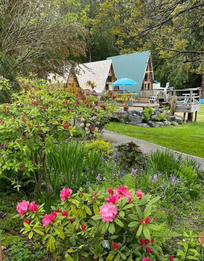 Property grounds - Ocean View Cabins at the Laughing Oyster (Powell River)