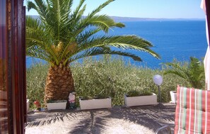 A view of a coastal area with a palm tree and a clear blue sea. - 2 bedroom cozy apartment in Stanici (Stanici)