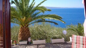 Blick auf eine Küstenlandschaft mit einer Palme und blauem Meer.
