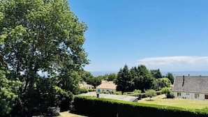Un quartier résidentiel avec des maisons, un grand arbre et un ciel bleu dégagé.