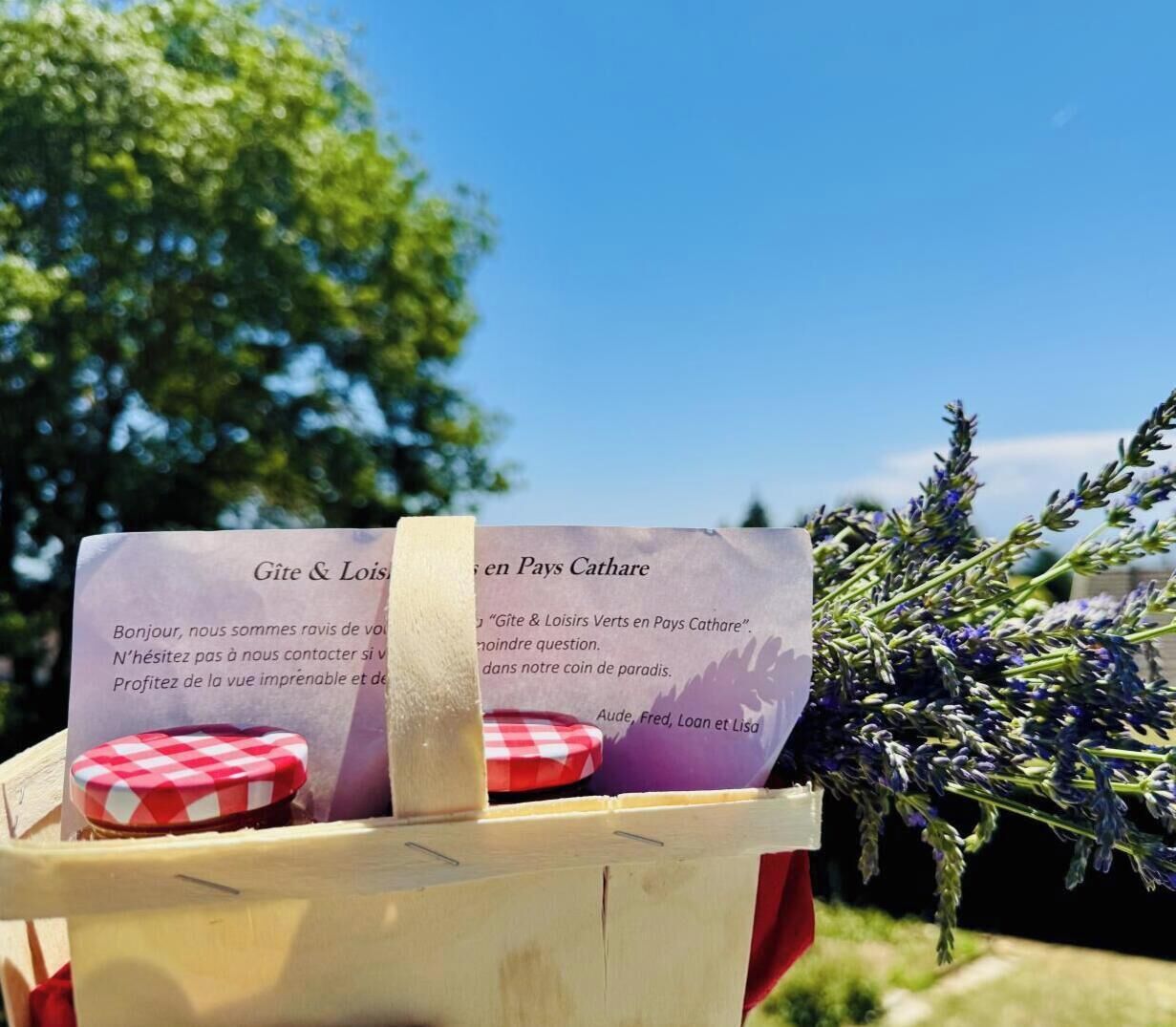 A wooden box with a sign and a red and white checkered object inside, placed outdoors with a clear sky and greenery in the background.
