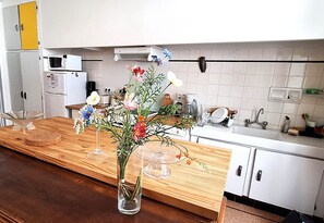 Private kitchen - Boutet House 5 - FANJEAUX (FANJEAUX)