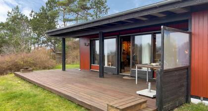 3 bedroom stunning home in Knebel
