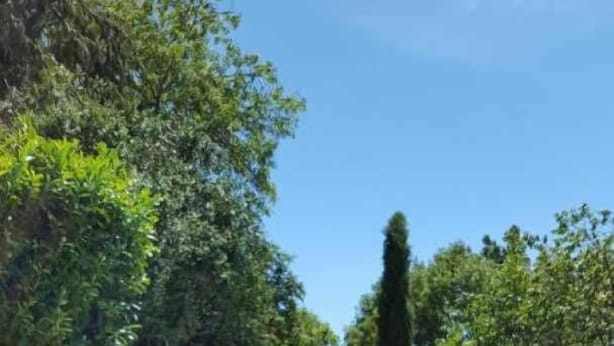 Una persona sdraiata su una poltrona da relax accanto a una piscina, che legge un libro.
