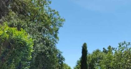 Araucaria Gardens