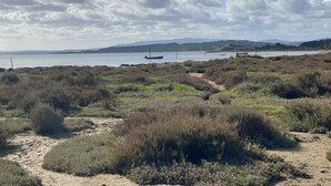 Beach - L'Avocette - BAGES - Vacation Rental (BAGES)