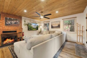 Smart TV, fireplace, books