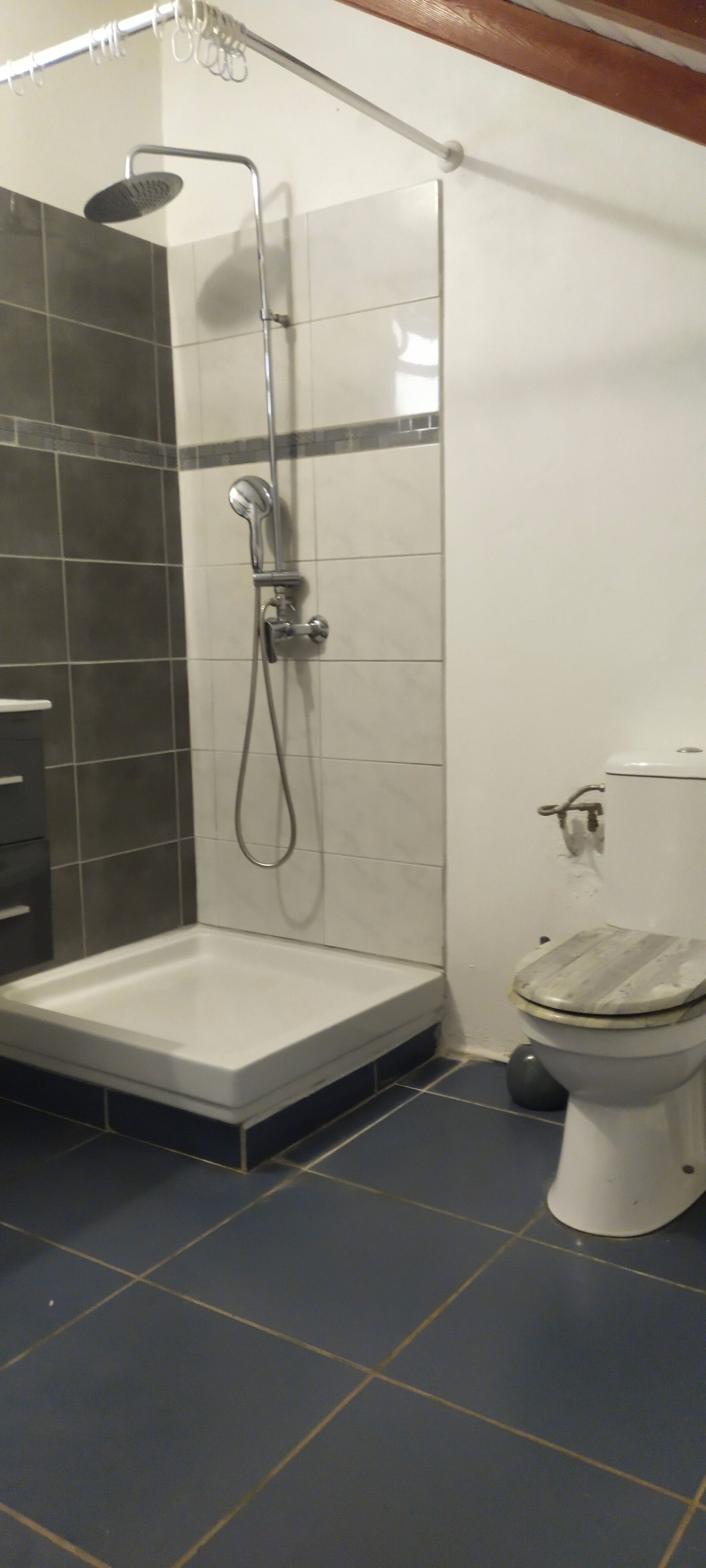 Shower, towels, soap, toilet paper