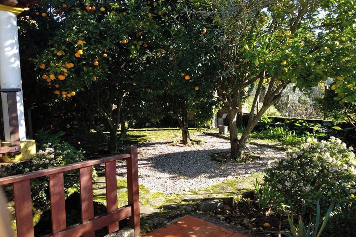 オーナーのプロフィール画像