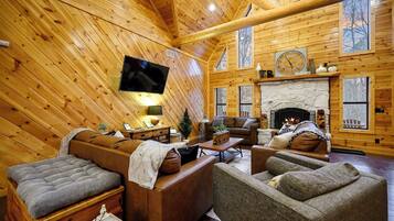 TV connectée, cheminée, jeux vidéo, livres