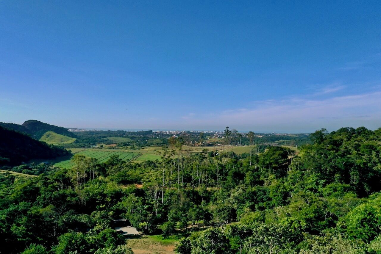 Una vista panorámica de un paisaje verde exuberante con colinas ondulantes y un cielo azul despejado.