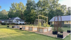 Um jardim com canteiros elevados, treliça e plantas em vasos.
