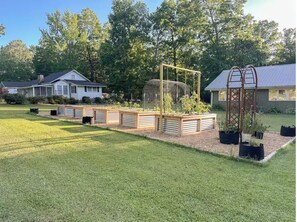 Property grounds - Cloudland Homestead Organic Abode in Menlo, GA - Chickens, Garden (Menlo)