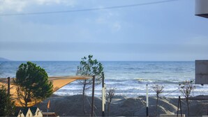 Vista di una spiaggia con spiaggia sabbiosa, alcuni alberi e cielo sereno.