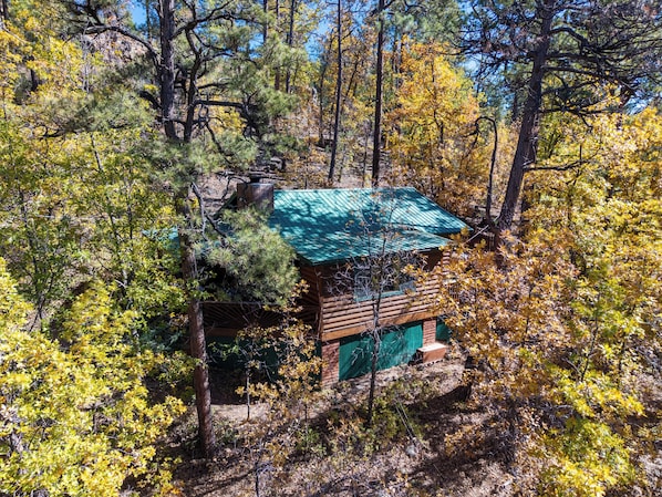 Exterior - Pinetop Vista - The Eagle (Pinetop)