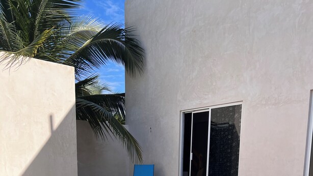 A swimming pool with a clear blue water surface, a blue lounge chair, and a palm tree.