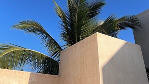 A palm tree against a clear blue sky, with a beige building structure in the foreground.