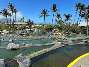 Ein tropisches Resort mit mehreren Wasserelementen, Palmen und blauem Himmel.