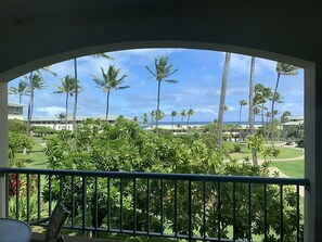 Property grounds - Point at Poipu  with AC in bedrooms and various resort amenities (Koloa)