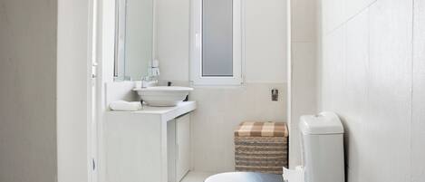 Shower, hair dryer, bidet, towels