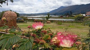 A garden with flowering plants and a lake in the background.