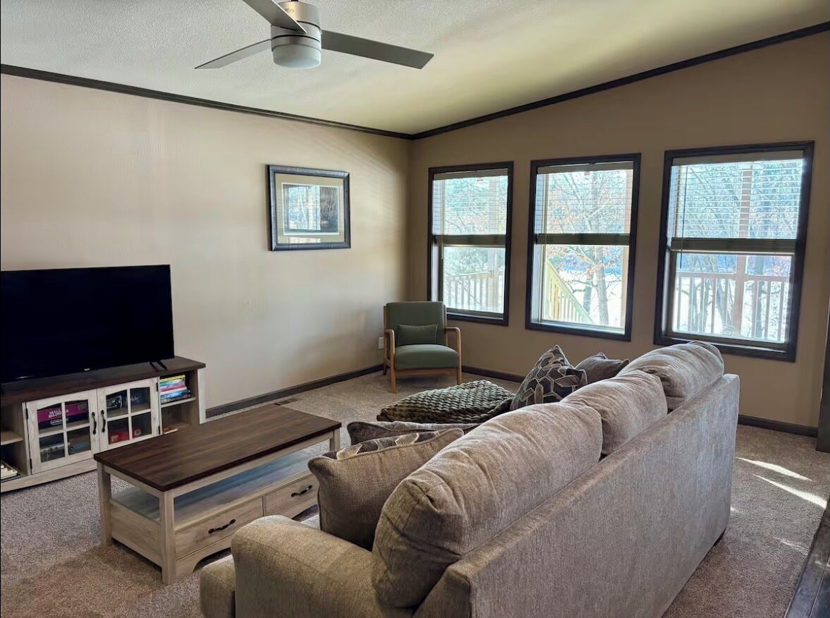 Smart TV, books, computer monitors