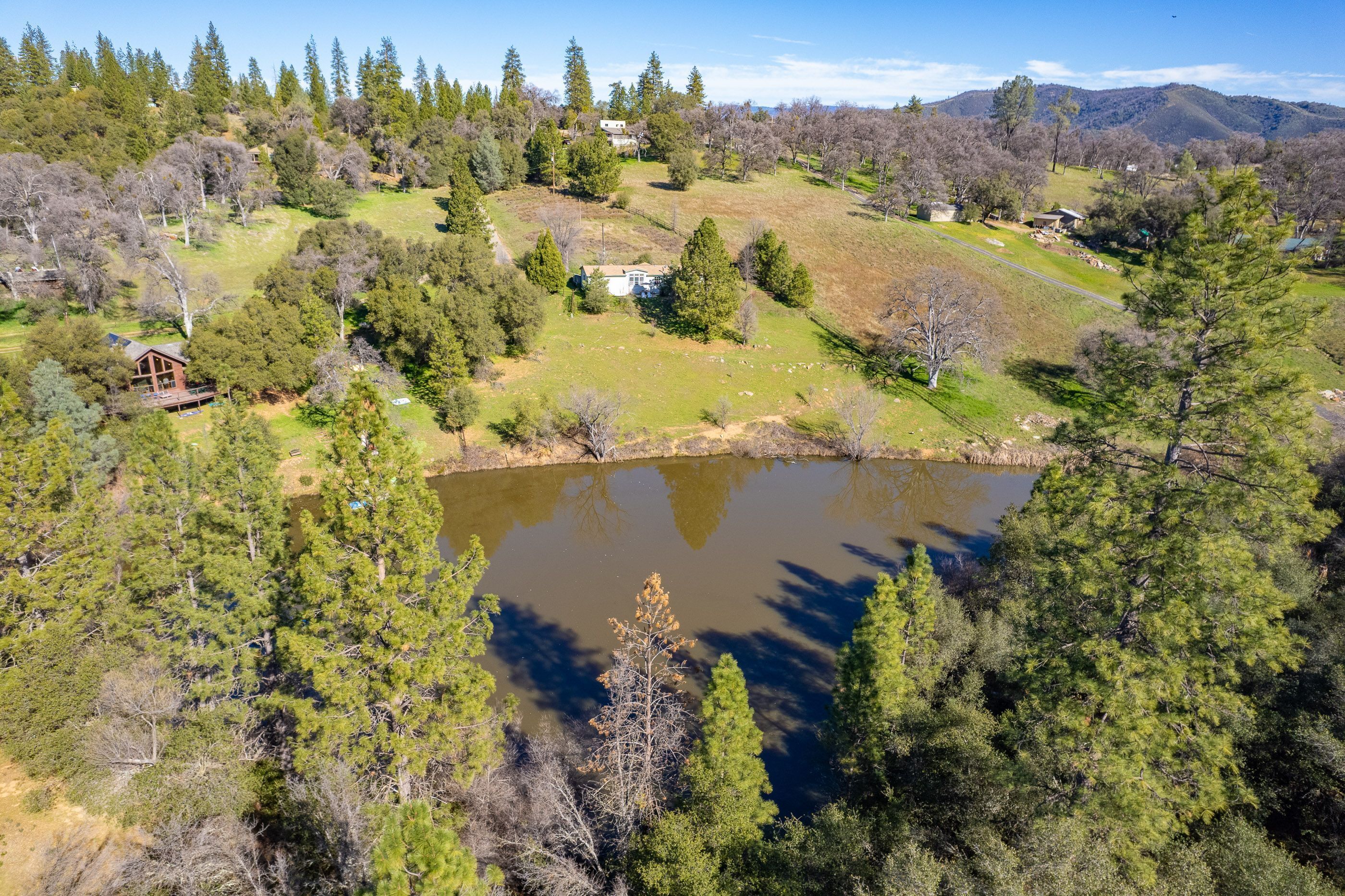 A rural landscape with a pond, houses, and dense trees.