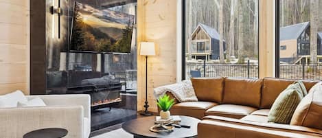 TV, fireplace, books