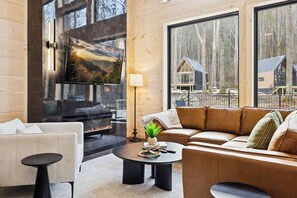 TV, fireplace, books