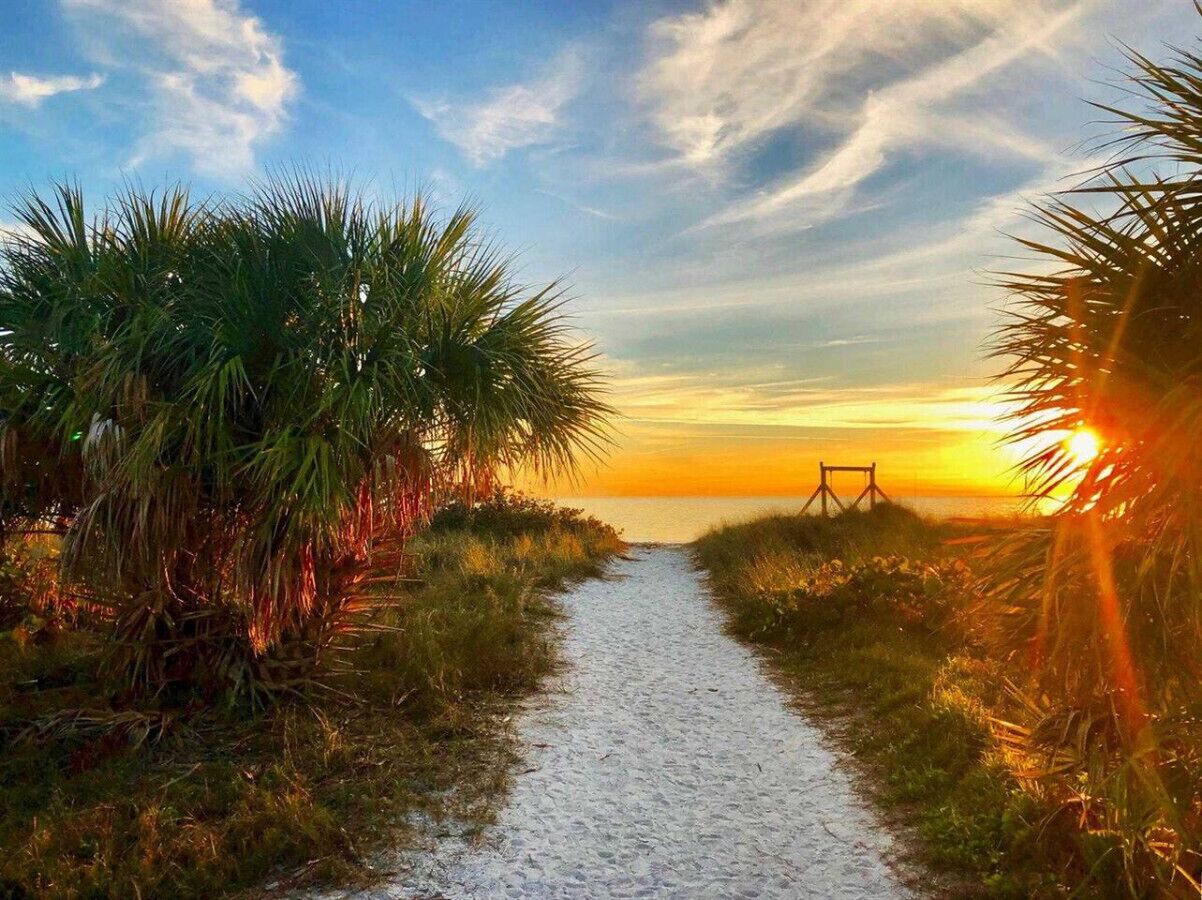 Playa en los alrededores 