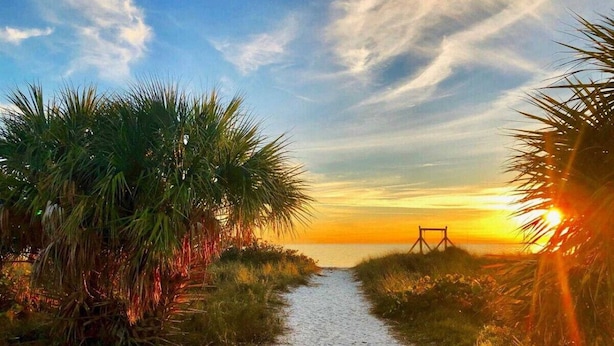 A pathway leading to a beach with palm trees on either side. - Walk to beach & trail-bikes, beach gear, porch (Palm Harbor)
