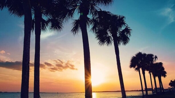 A beach scene with palm trees and a hammock. - Bike to trails, beach, parks - great for families! (Palm Harbor)