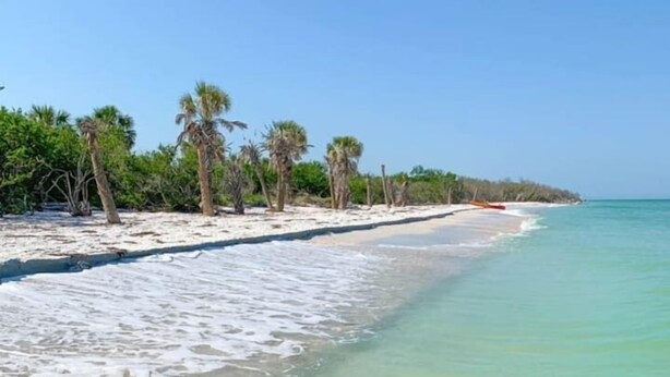 Una playa con aguas poco profundas y cristalinas, palmeras y una orilla arenosa.