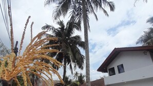Exterieur