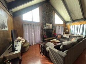 Smart TV, fireplace, DVD player, books