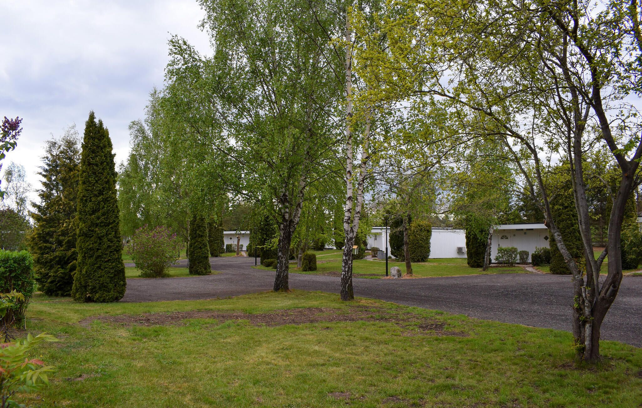 Un barrio residencial con entrada pavimentada, césped y varios árboles.