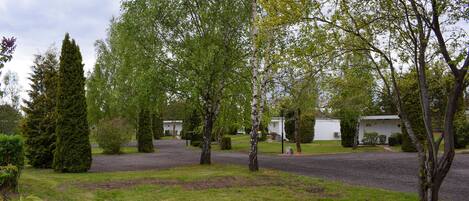 Un barrio residencial con entrada pavimentada, césped y varios árboles.