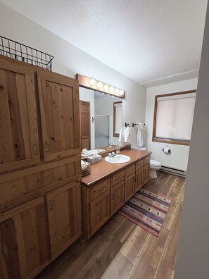 Shower, hair dryer, towels, soap - 3-bedroom cabin in charming Lake City with mountain views (Lake City)