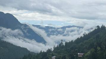 City view from property