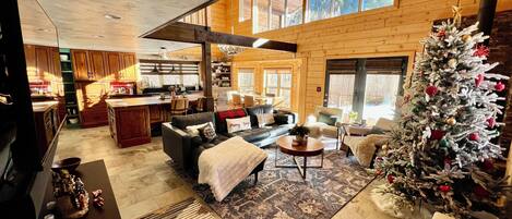 Fireplace, books, music library, stereo