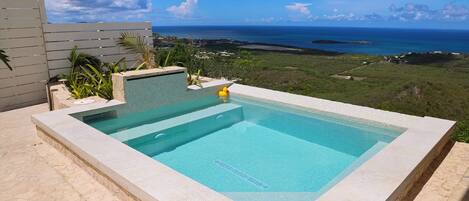 A rectangular pool with a clear blue water feature, surrounded by a stone deck and a low wall.