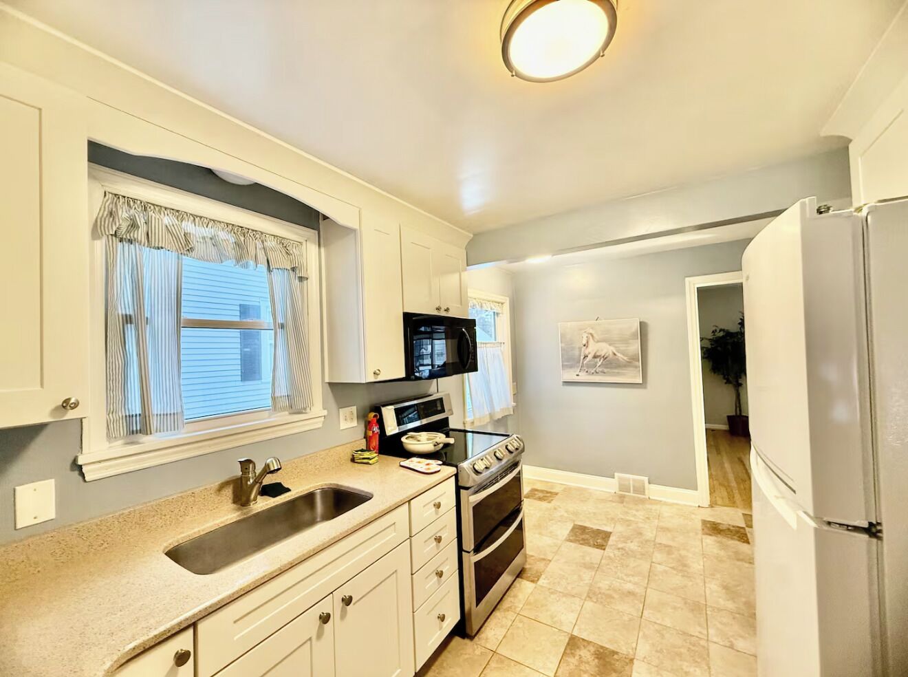 Fridge, microwave, oven, electric kettle