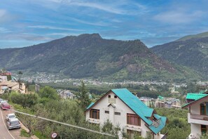 Deluxe Room | View from room